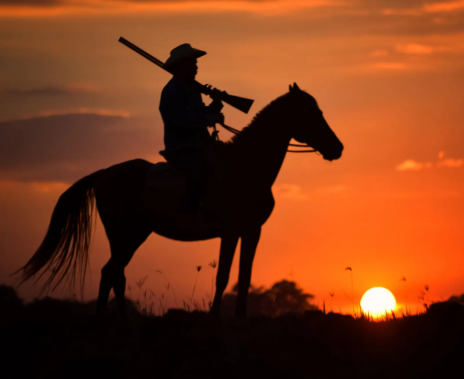 Rider on horseback holding a rifle at sunset